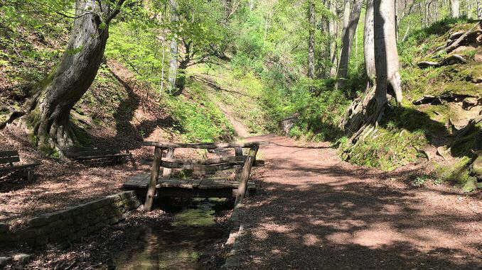 Annatal, Siebengebirge, Königswinter