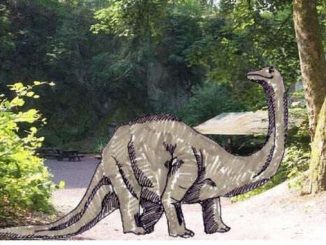 Un dinosaur au Nasseplatz? Siebengebirge, Königswinter