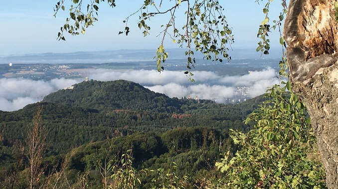 Drachenfels, vue du Ölberg