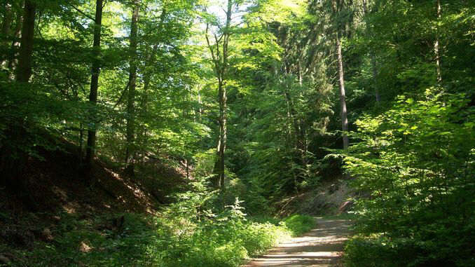 Einsiedlertal, Siebengebirge, Bad Honnef