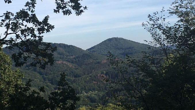 Lohrberg et Löwenburg, vue du Petersberg