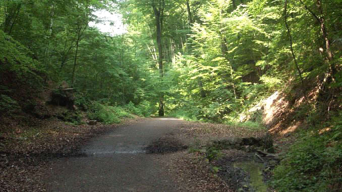 Nachtigallental, Siebengebirge, Königswinter