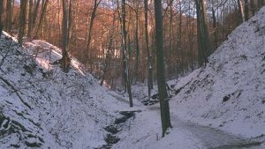 Nachtigallental, Siebengebirge, Königswinter