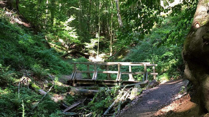 Vallée Tretschbachtal, Siebengebirge, Bad Honnef