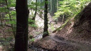 Vallée Tretschbachtal, Siebengebirge, Bad Honnef