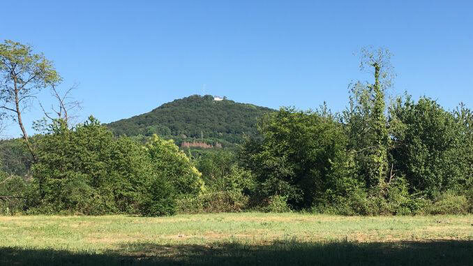 Ölberg, vue du Stenzelberg